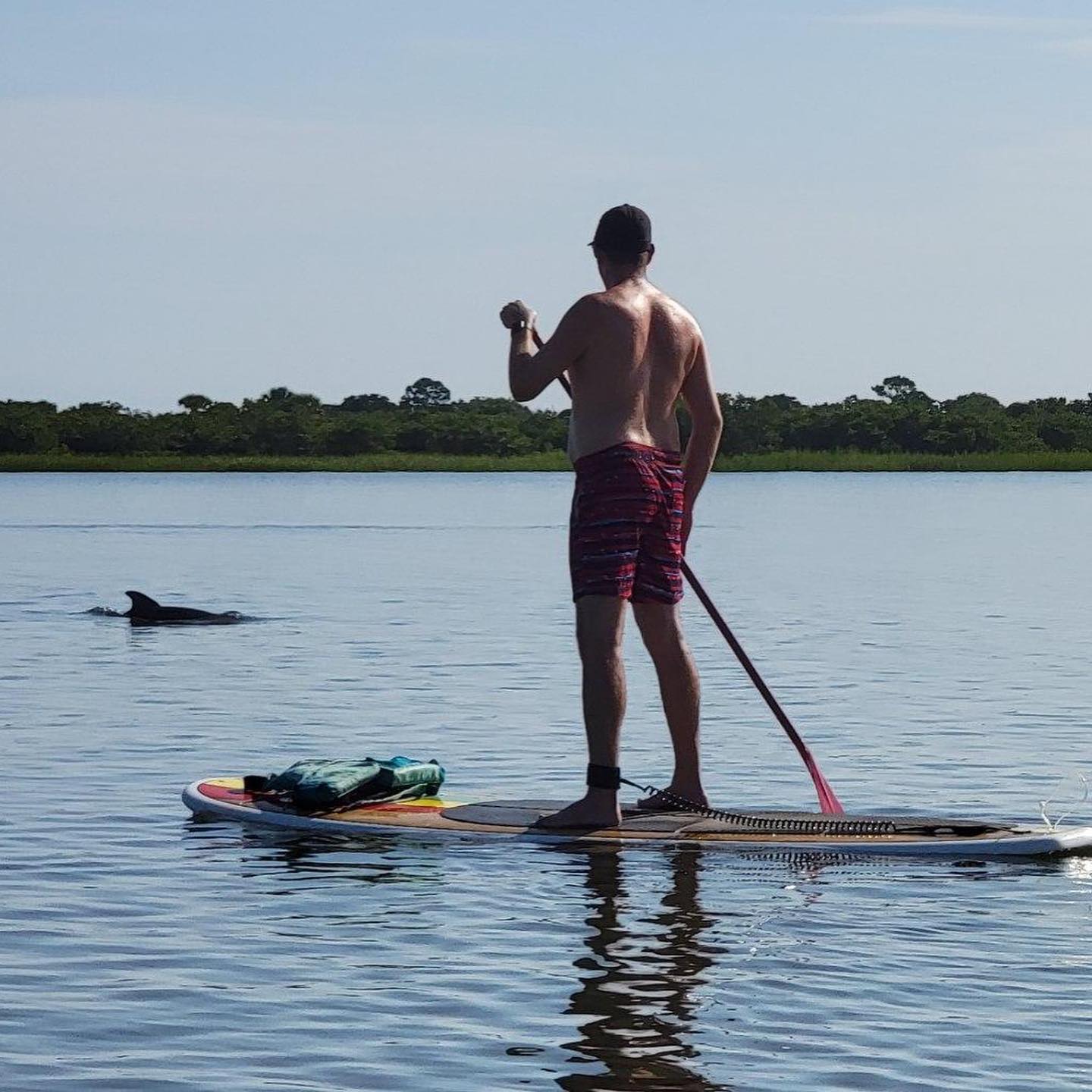 Paddleboard dolphin tour salt run