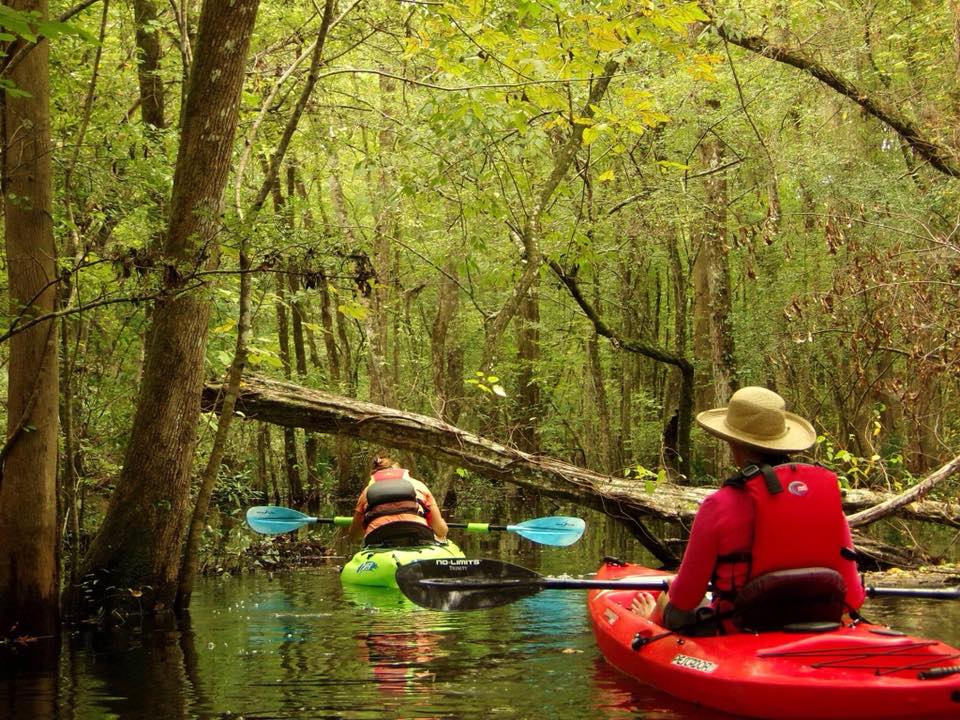 St. Augustine backwater kayak tour Florida