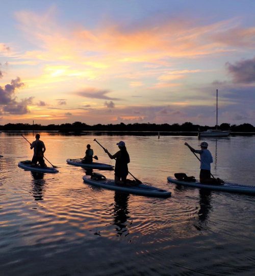 St. Augustine paddleboard sunrise tour