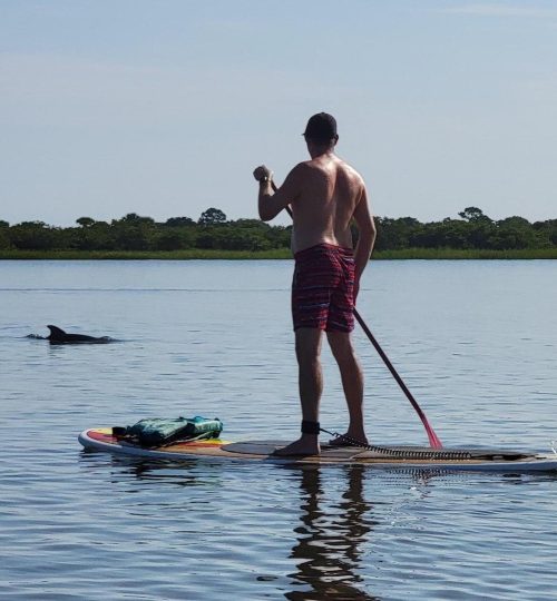 Paddleboard dolphin tour salt run